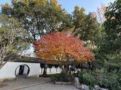 -上海醉白池公园