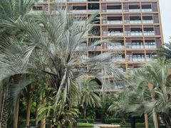 -三亚湾红树林度假世界(木棉酒店)