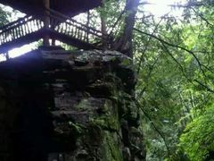 -藏龙百瀑风景区