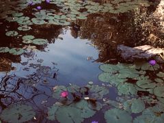 -郭庄茶室