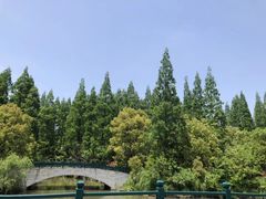 -东平国家森林公园