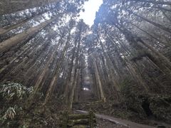-上色见熊野座神社