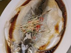 -豆花酒楼·三十八年匠心(秦皇东大街店)
