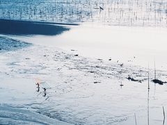 -北岐滩涂