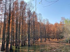 -青龙山国家森林公园