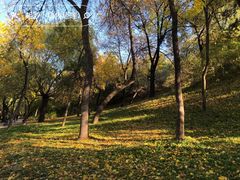 -元大都城垣遗址公园