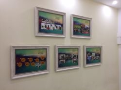 -星豆豆儿童摄影(南郊太白南路店)