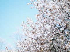 -山东师范大学(千佛山校区)