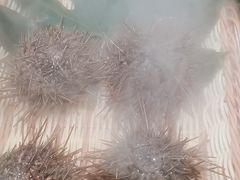 -百富源·海鲜辽菜(和平北大街店)