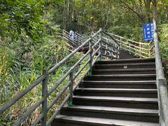 -江西龙虎山景区