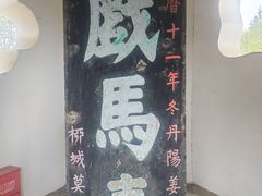 -戏马台景区