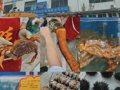 -蚝专家(北滘店)