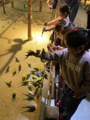 -酷嗒动物文化乐园(cutezoo西溪乐天城店)