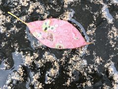 -韩湘水博园