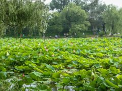 -承德避暑山庄景区