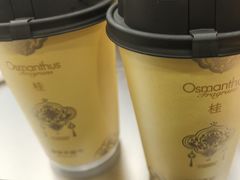 -爷爷不泡茶 NOYEYENOTEA(长沙五江天街店)