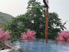 -天目湖御水温泉·度假酒店