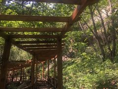 -大岭沟猕猴桃谷风景区