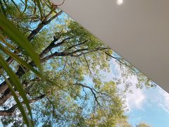 -颈渴