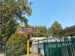 -三里屯东五街银杏大道
