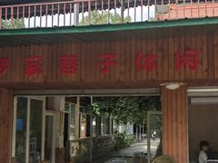 -罗家巷子休闲庄自助碳烤