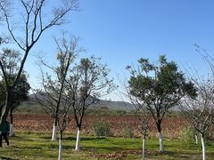 -南京市无想山景区