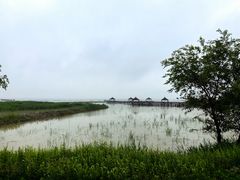 -哈素海