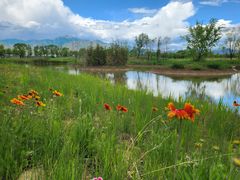 -野鸭湖国家湿地公园