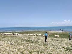 -青海湖国家重点风景名胜区