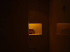 -上海璞麗酒店