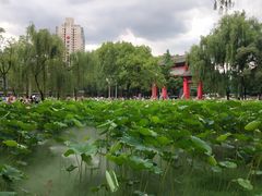 -四川大学(望江校区)