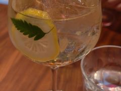 接骨木气泡酒-BOTTEGA意库(中骏世界城店)