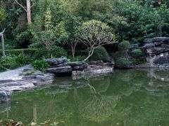 -深圳国际园林花卉博览园