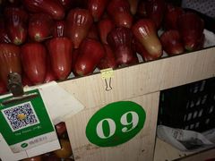 -鸿港海鲜批发市场