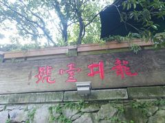 -龙井壹号·茶缘山景宴(龙井村店)