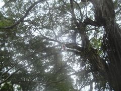 -胡里山炮台