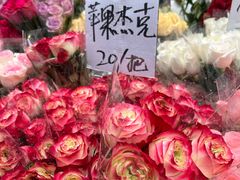 -循礼门鲜花花市(武汉循礼门店)