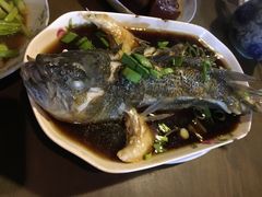 清蒸鲈鱼-沈记菜馆(酒仙桥路店)