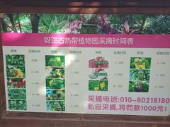 -呀路古热带植物园