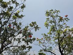 -海珠儿童公园