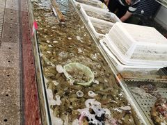 -大京园海鲜烧烤(东城路店)