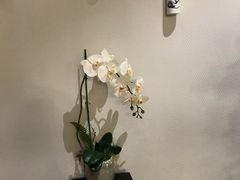 -Dragonfly悠庭·按摩Spa(浦东嘉里城店)