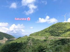 -东白山