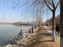 -丁香湖公园