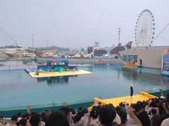 -秦皇岛乐岛海洋王国