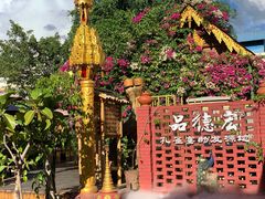 -品德宏·孔雀宴的发源地(金塔园店)