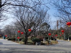 -济南植物园