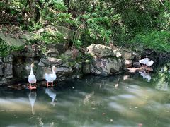 -兰亭风景区