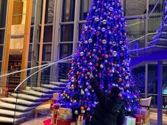 -视界美食自助餐厅·石家庄希尔顿酒店