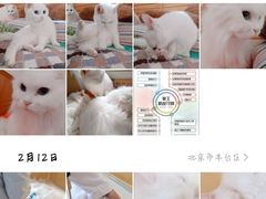 -美联众合动物医院·24h京西诊疗中心